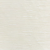 KRAVET BASICS - KRAVET BASICS- 4681-101 - Fabric by the Yard