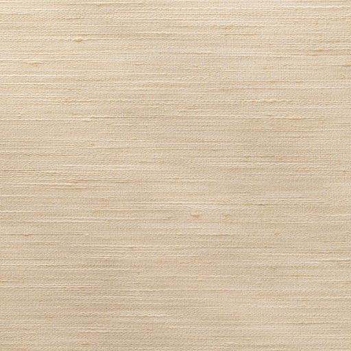 KRAVET BASICS - KRAVET BASICS- 4852-1116 - Fabric by the Yard 4852-1116
