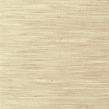 KRAVET BASICS - KRAVET BASICS- 4854-1116 - Fabric by the Yard