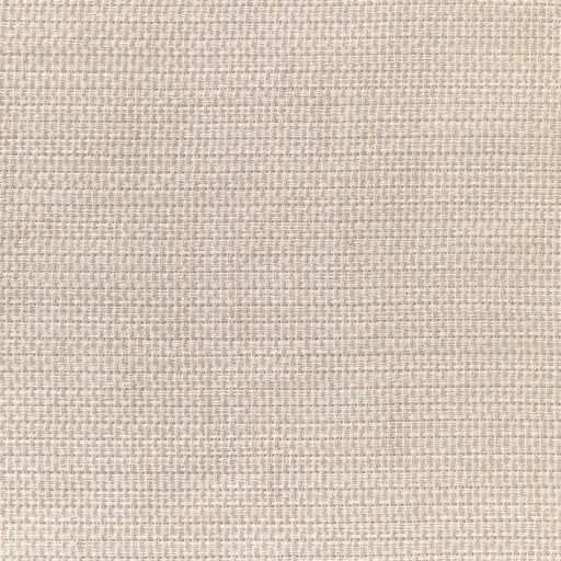 KRAVET BASICS - KRAVET BASICS- 4882-1 - Fabric by the Yard 4882-1