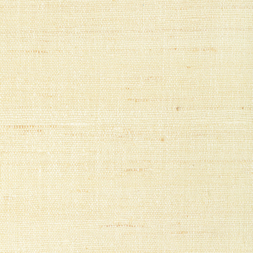 KRAVET COUTURE - 4898 - LIGHT TOUCH - Fabric By the Yard
