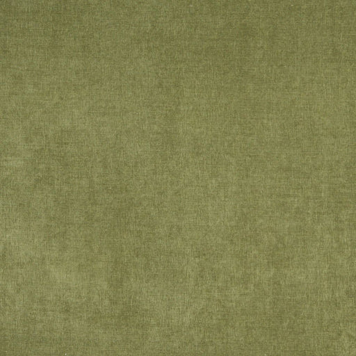 Charlotte - 5159 - Spring - Fabric by the Yard Spring