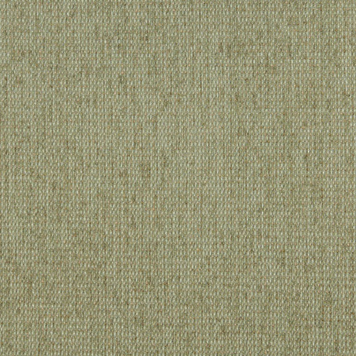Charlotte - 5170 - Willow - Fabric by the Yard Willow