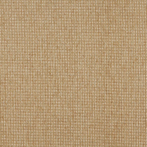 Charlotte - 5172 - Seagrass - Fabric by the Yard Seagrass