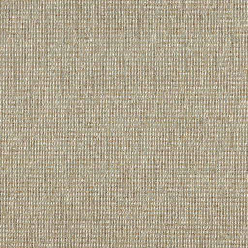 Charlotte - 5174 - Celadon - Fabric by the Yard Celadon