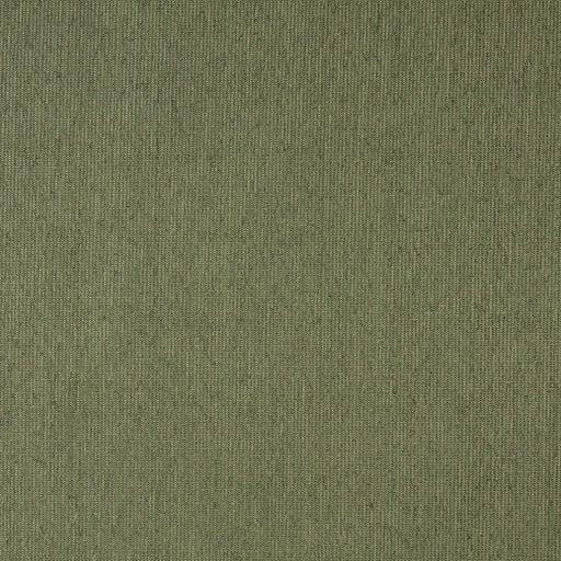 Charlotte - 5218 - Willow - Fabric by the Yard Willow