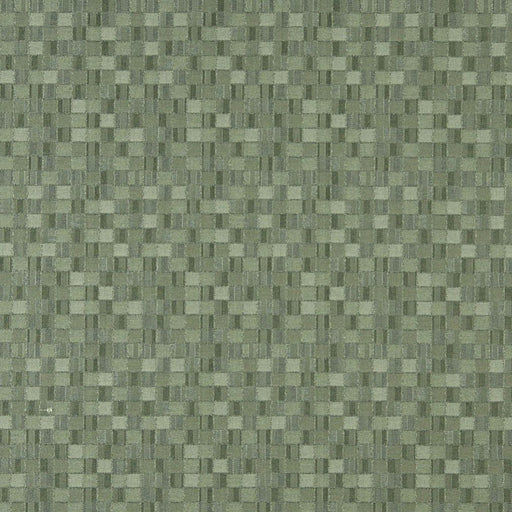 Charlotte - 5259 - Aloe - Fabric by the Yard Aloe