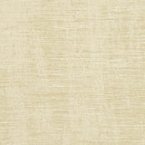 Charlotte - 5307 - Ecru - Fabric by the Yard