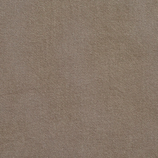 Charlotte - 5672 - Stone - Fabric by the Yard Stone