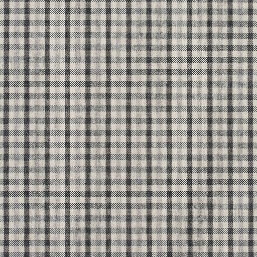 Charlotte - 5810 - Sterling Check - Fabric by the Yard Sterling Check