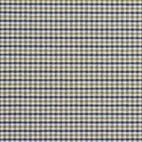 Charlotte - 5813 - Laguna Check - Fabric by the Yard