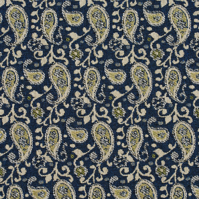 Charlotte - 5843 - Laguna Paisley - Fabric by the Yard Laguna Paisley