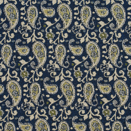 Charlotte - 5843 - Laguna Paisley - Fabric by the Yard Laguna Paisley
