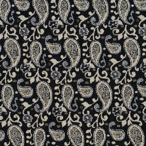 Charlotte - 5845 - Onyx Paisley - Fabric by the Yard Onyx Paisley