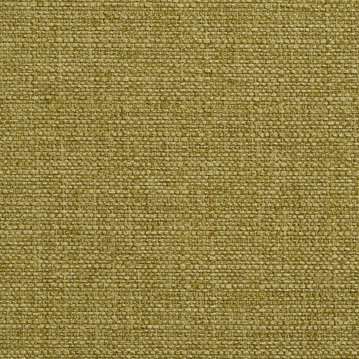 Charlotte - 5908 - Kiwi - Fabric by the Yard Kiwi
