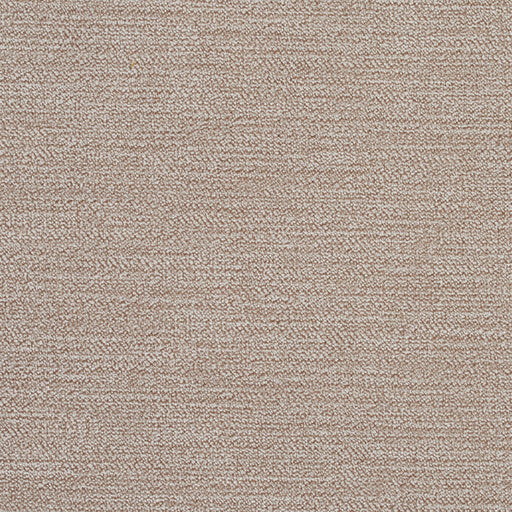 Charlotte - 5916 - Almond - Fabric by the Yard Almond