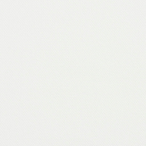 Charlotte - 5940 - White - Fabric by the Yard White