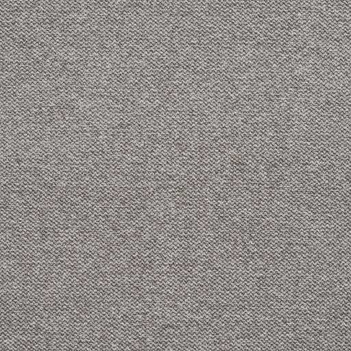 Charlotte - 5952 - Silver - Fabric by the Yard Silver