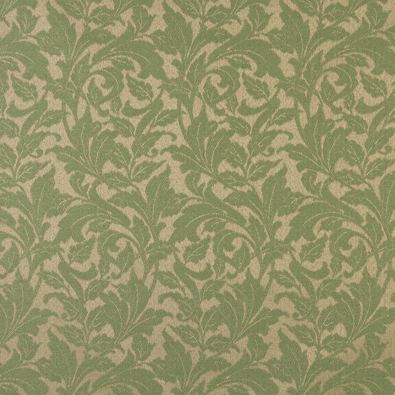 Charlotte - 6602 - Fern/Leaf - Fabric by the Yard Fern/Leaf