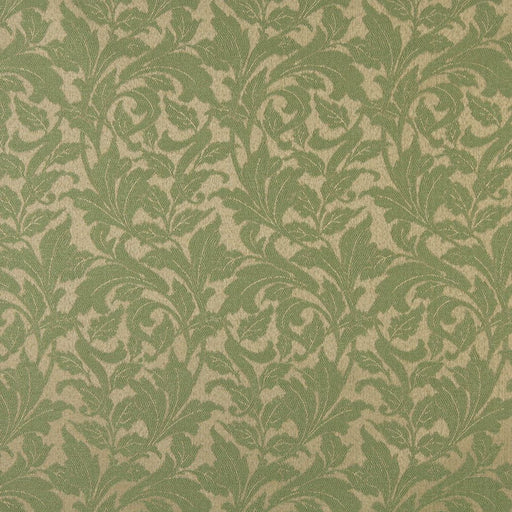 Charlotte - 6602 - Fern/Leaf - Fabric by the Yard Fern/Leaf