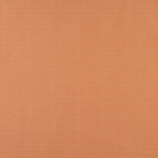 Charlotte - 6619 - Nectar - Fabric by the Yard Nectar