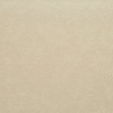 Charlotte - 6629 - Ivory/Vine - Fabric by the Yard