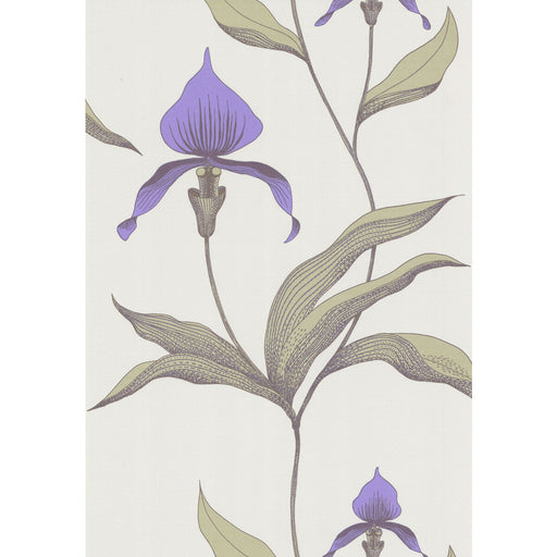 COLE & SON - ORCHID- WHITE/M - Wallcovering by the Roll WHITE/M