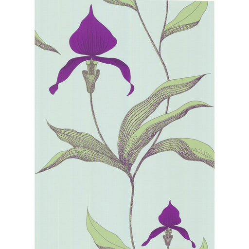 COLE & SON - ORCHID- TURQUOI - Wallcovering by the Roll TURQUOI
