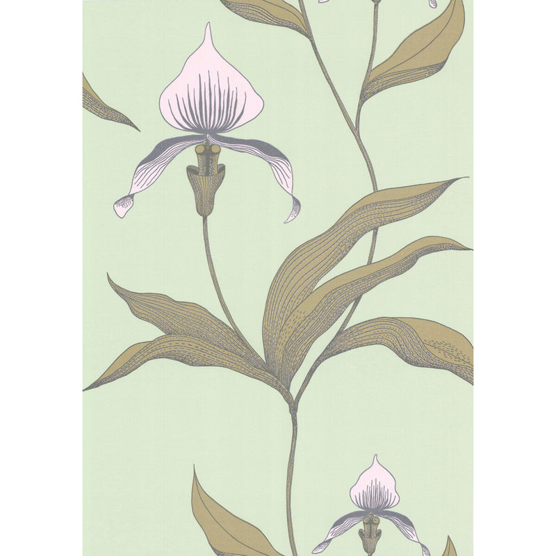 COLE & SON - ORCHID- PALE GR - Wallcovering by the Roll PALE GR