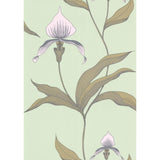 COLE & SON - ORCHID- PALE GR - Wallcovering by the Roll