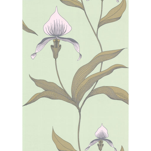 COLE & SON - ORCHID- PALE GR - Wallcovering by the Roll PALE GR