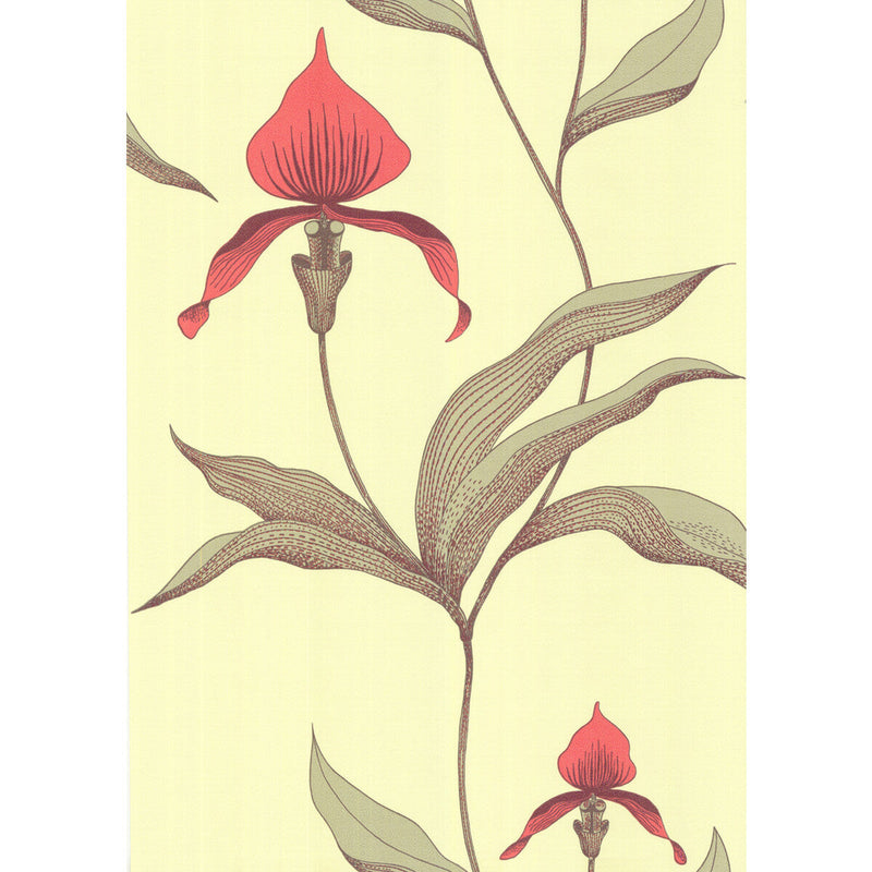 COLE & SON - ORCHID- LIME/OR - Wallcovering by the Roll LIME/OR