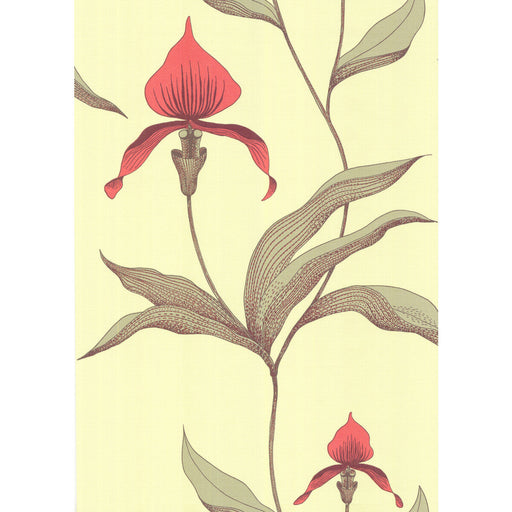 COLE & SON - ORCHID- LIME/OR - Wallcovering by the Roll LIME/OR