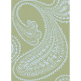 COLE & SON - RAJAPUR- PALE BL/GN - Wallcovering by the Roll