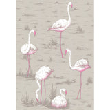COLE & SON - FLAMINGOS- GREY - Wallcovering by the Roll