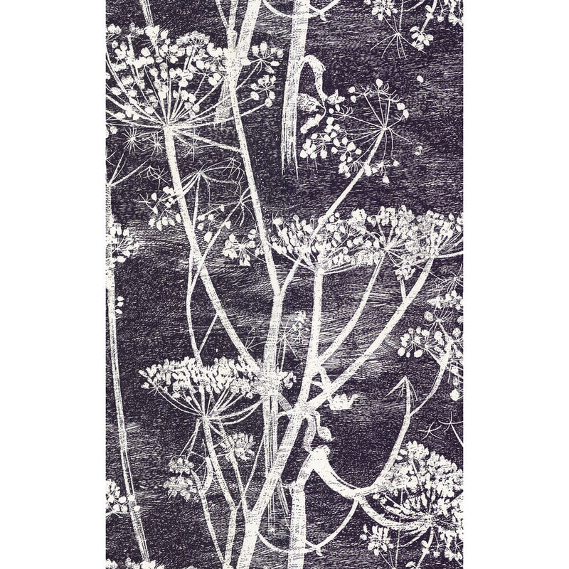 COLE & SON - COW PARSLEY- WHITE/BLK - Wallcovering by the Roll WHITE/BLK