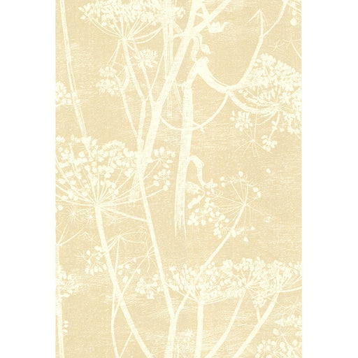 COLE & SON - COW PARSLEY- WHITE/BGE - Wallcovering by the Roll WHITE/BGE