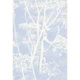 COLE & SON - COW PARSLEY- WHITE/BLU - Wallcovering by the Roll
