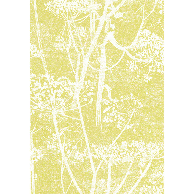 COLE & SON - COW PARSLEY- WHITE/Y - Wallcovering by the Roll WHITE/Y
