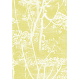 COLE & SON - COW PARSLEY- WHITE/Y - Wallcovering by the Roll