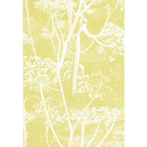 COLE & SON - COW PARSLEY- WHITE/Y - Wallcovering by the Roll WHITE/Y
