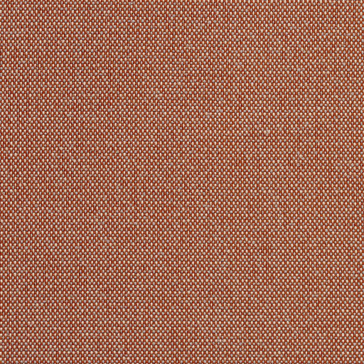 Charlotte - 6741 - Spice/Dot - Fabric by the Yard Spice/Dot