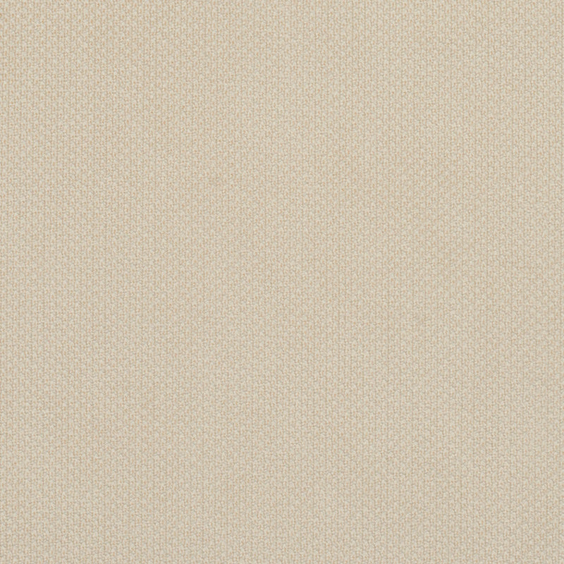 Charlotte - 6977 - Ivory - Fabric by the Yard Ivory