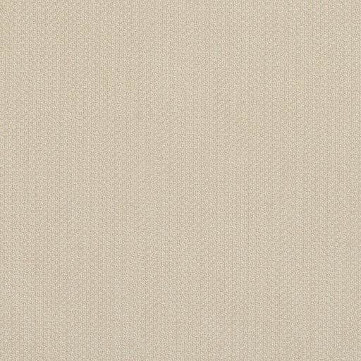 Charlotte - 6977 - Ivory - Fabric by the Yard Ivory