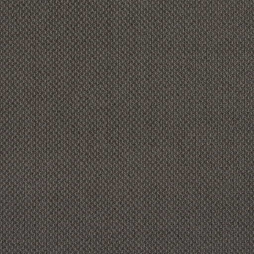 Charlotte - 6979 - Slate - Fabric by the Yard Slate
