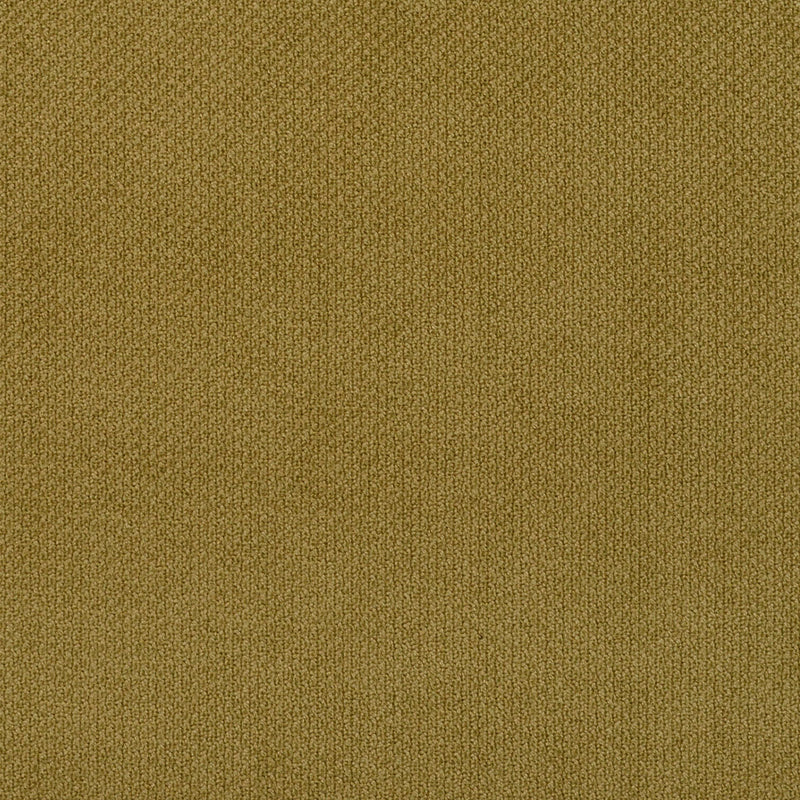 Charlotte - 6981 - Fern - Fabric by the Yard Fern