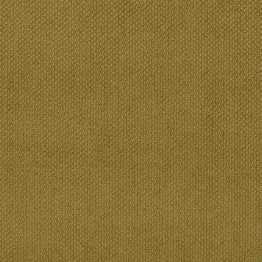 Charlotte - 6981 - Fern - Fabric by the Yard Fern