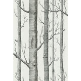 COLE & SON - WOODS- ONYX/WHITE - Wallcovering by the Roll