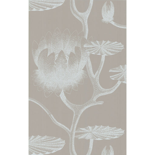 COLE & SON - LILY- WHITE/GREY - Wallcovering by the Roll WHITE/GREY