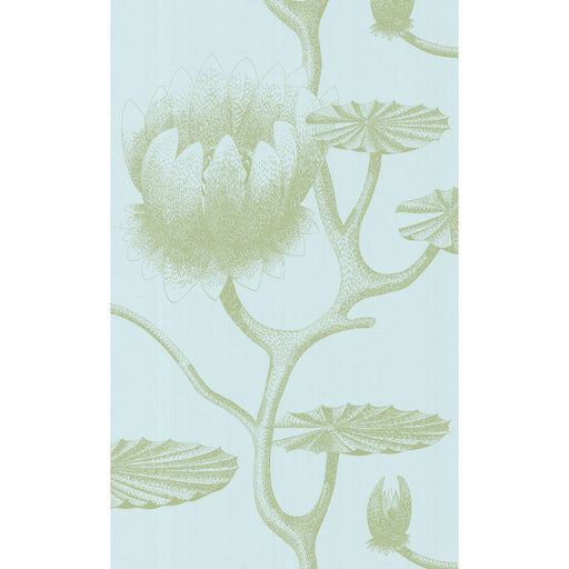 COLE & SON - LILY- SAGE/PALE BLUE - Wallcovering by the Roll SAGE/PALE BLUE